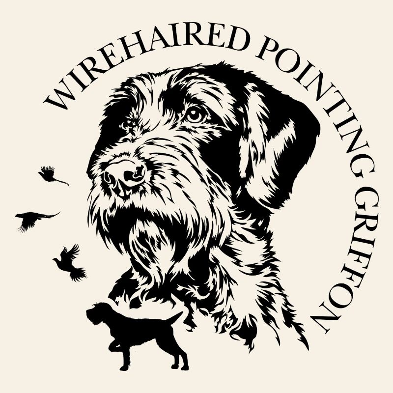 Wirehaired Pointing Griffon Jagdhunde Wilsigns 