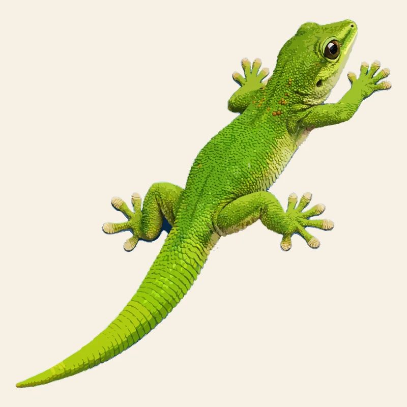 Escalade de gecko 1