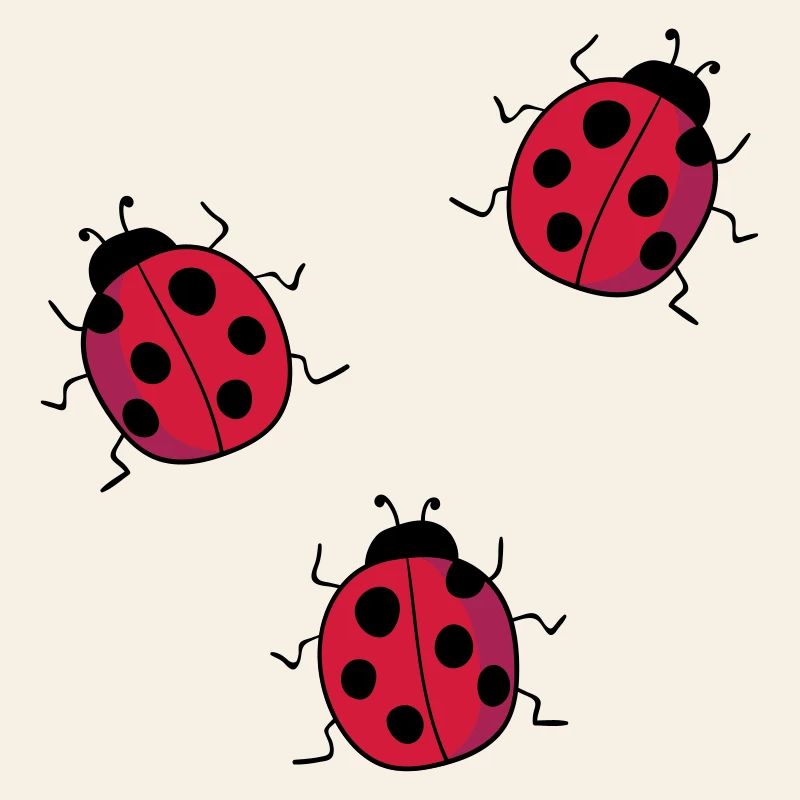 coccinelle