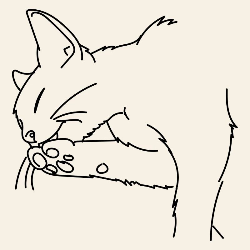 cat