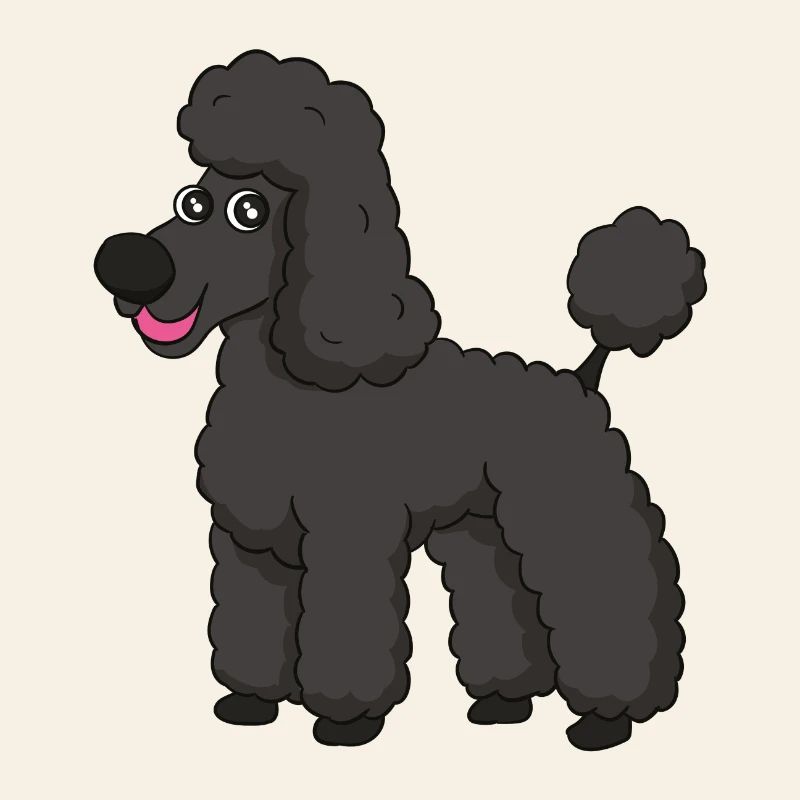 caniche doux