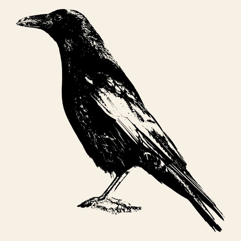 corbeau