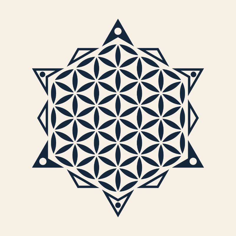 Blume des Lebens, Heilige Geometrie