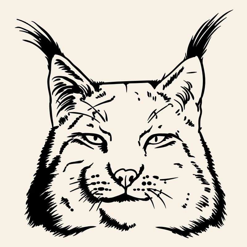 lynx