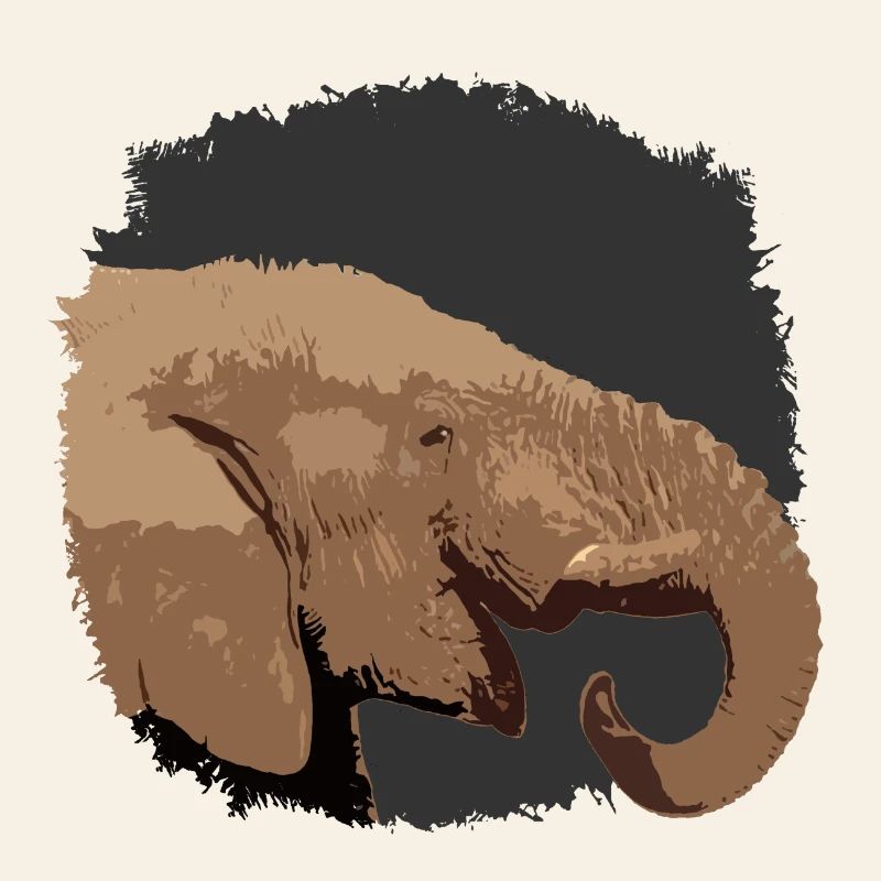 Elephant head with stylized look