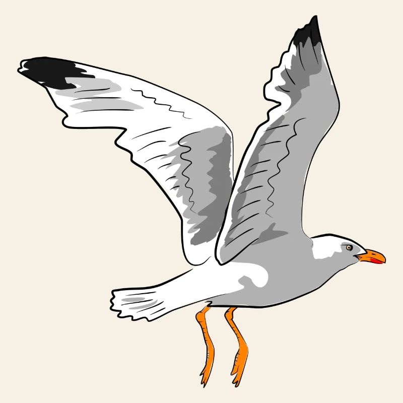 Stylish seagull in flight