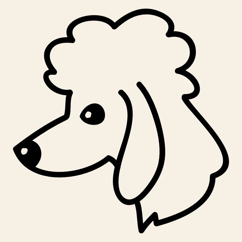 Portrait de caniche