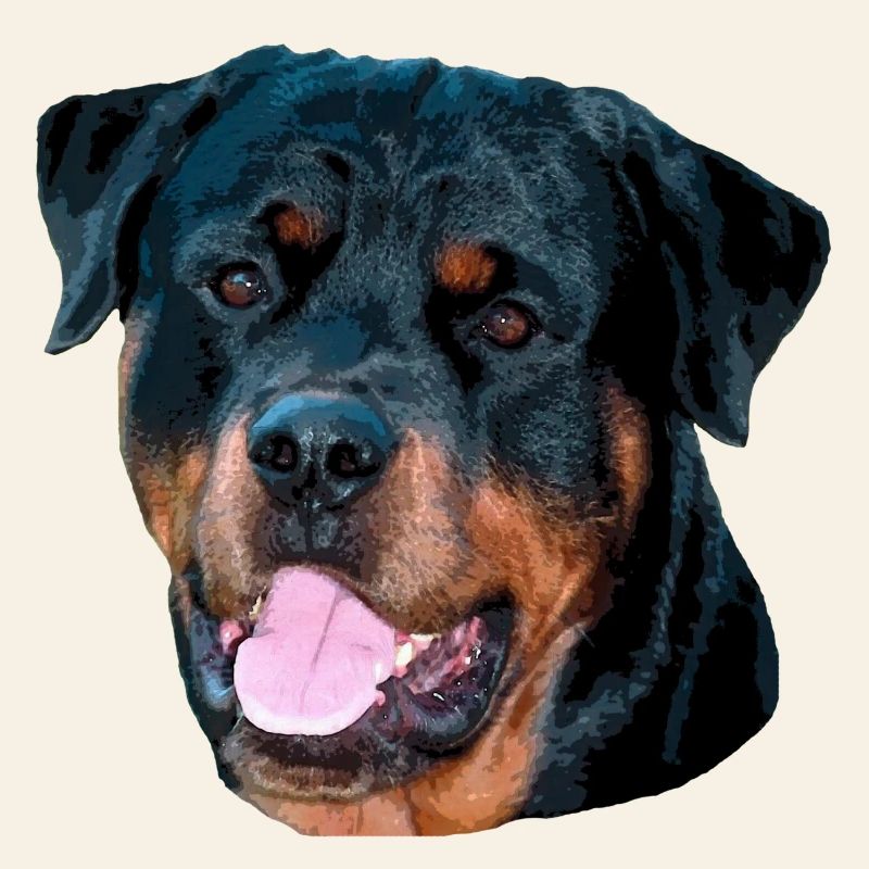 rotti