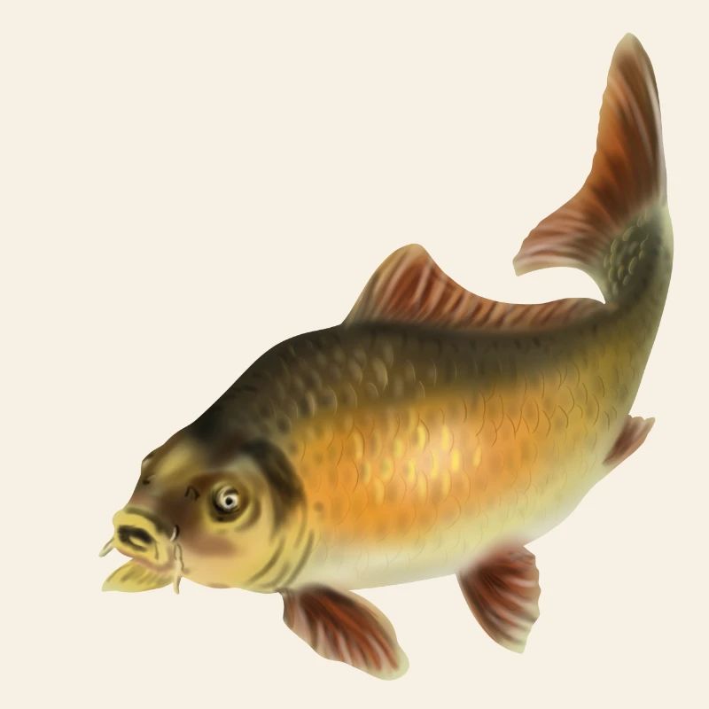 carpe