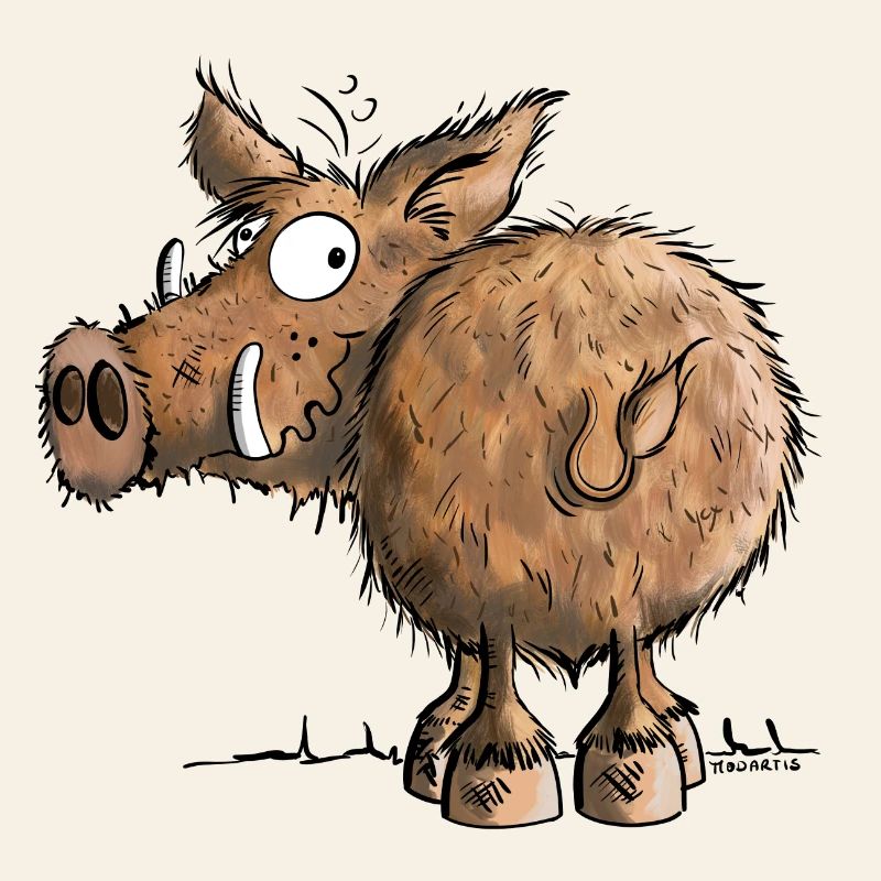 Funny Wild Boar