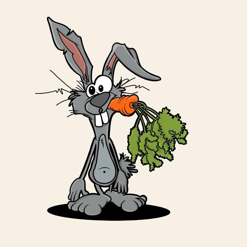 Funny Rabbit Gift