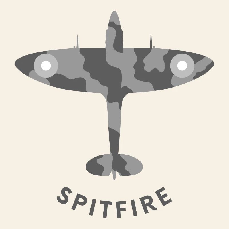 Avion de chasse de Spitfire
