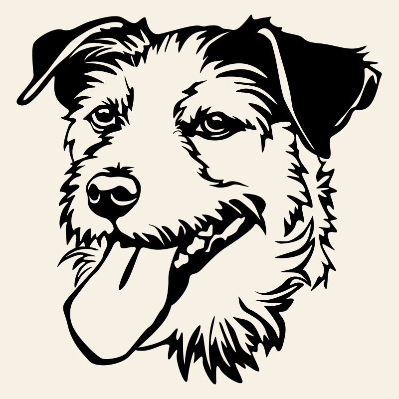 Parson Russel Terrier Kopf