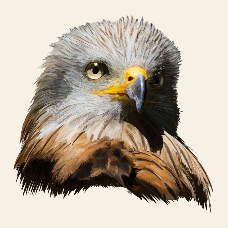 Imperial eagle