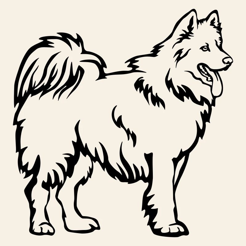 Samoyed