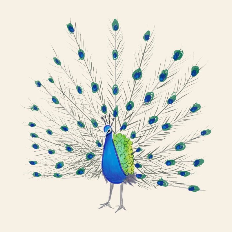 Peacock Feather Art