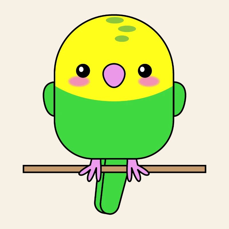 Budgerigar Parrot