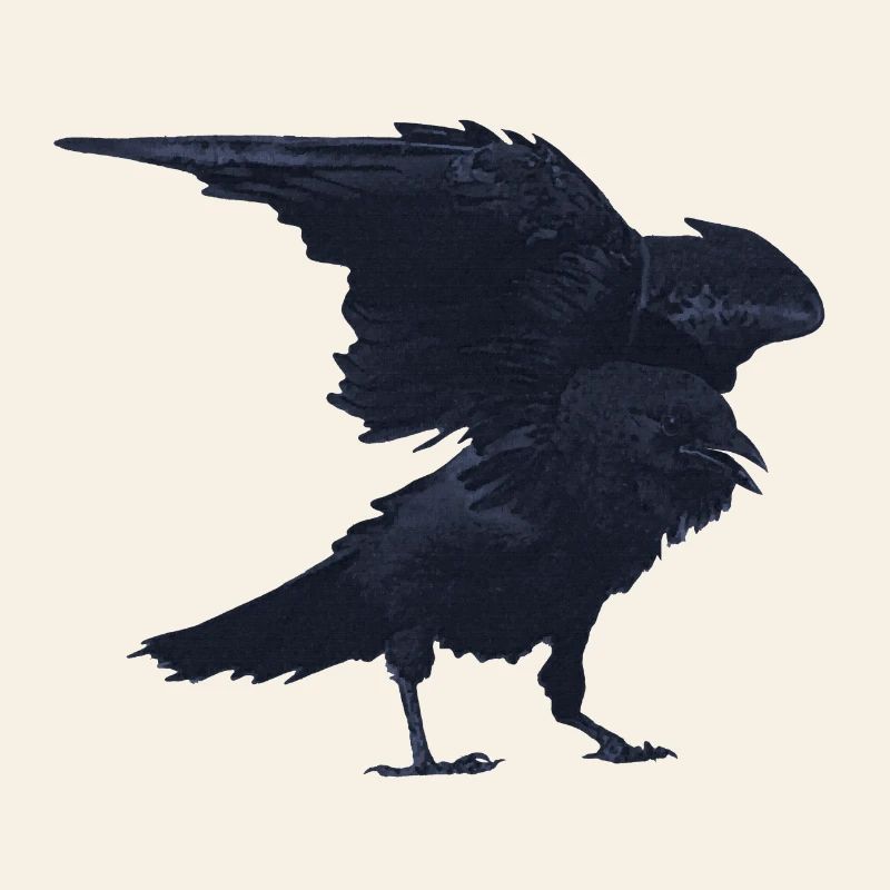 kolkrabe flattern, goth, geburtstagsgeschenk Mann