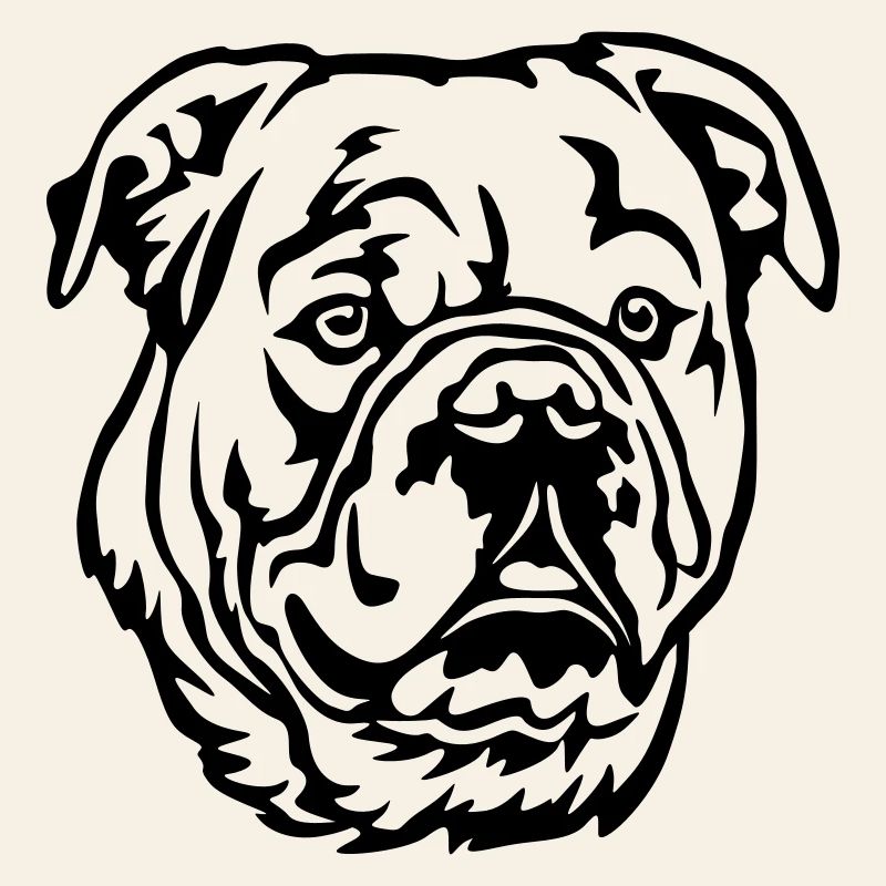 Tête de bouledogue continental