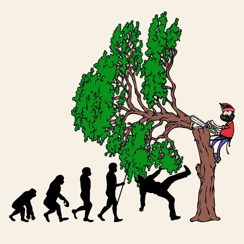 Tree Evolution Bois Bûcheron Forêt de bûcherons