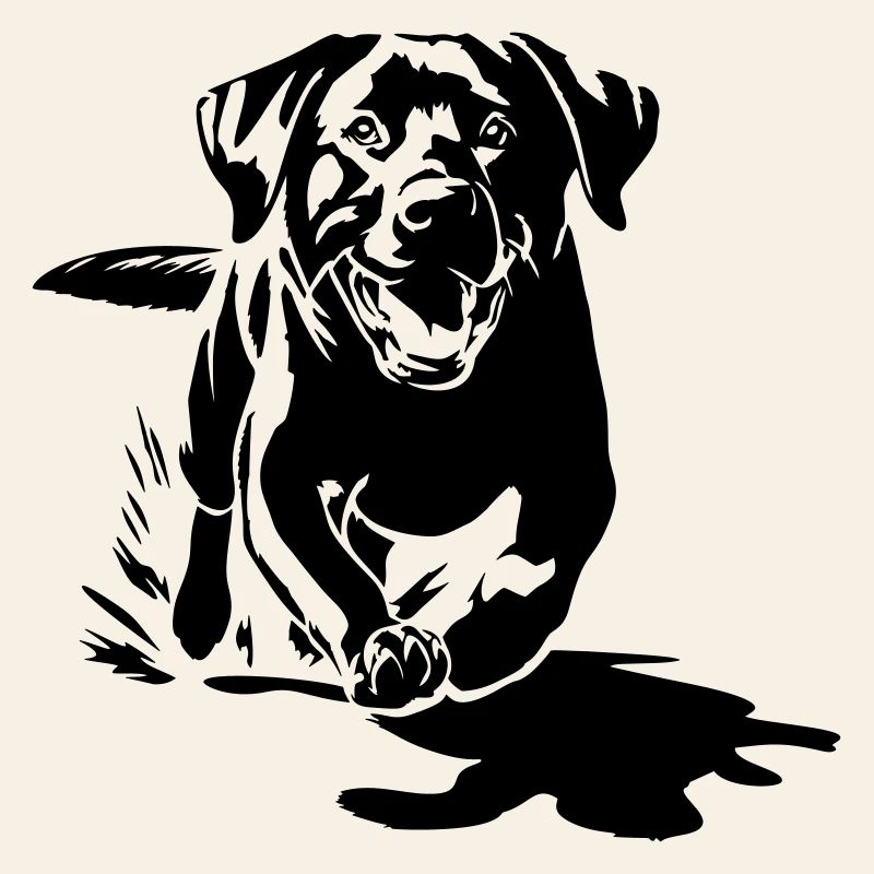 Labrador