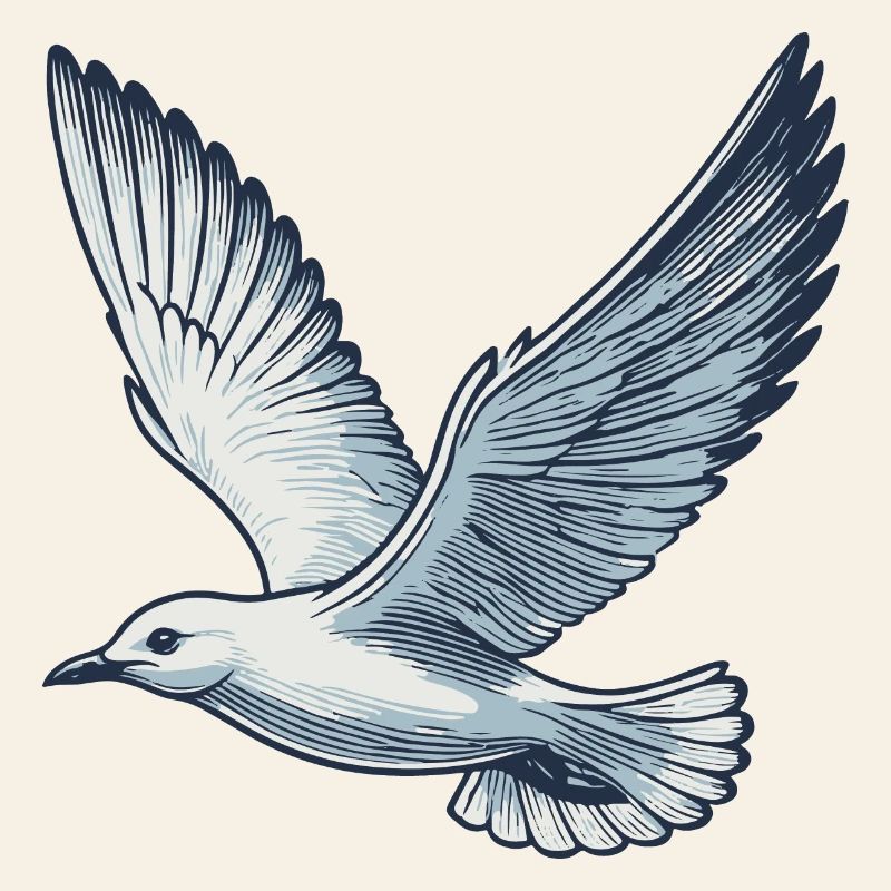 Möwe