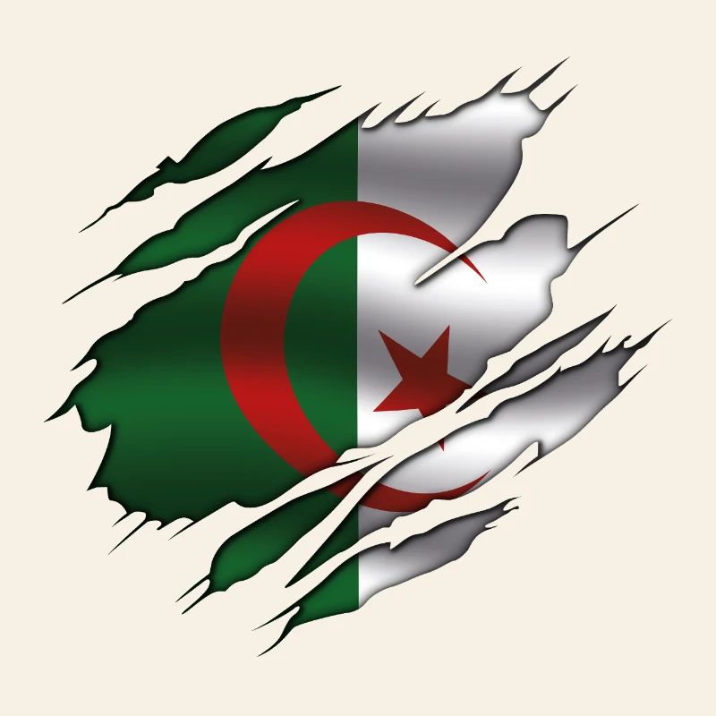 Algeria Flag - Algeria - Torn Flag