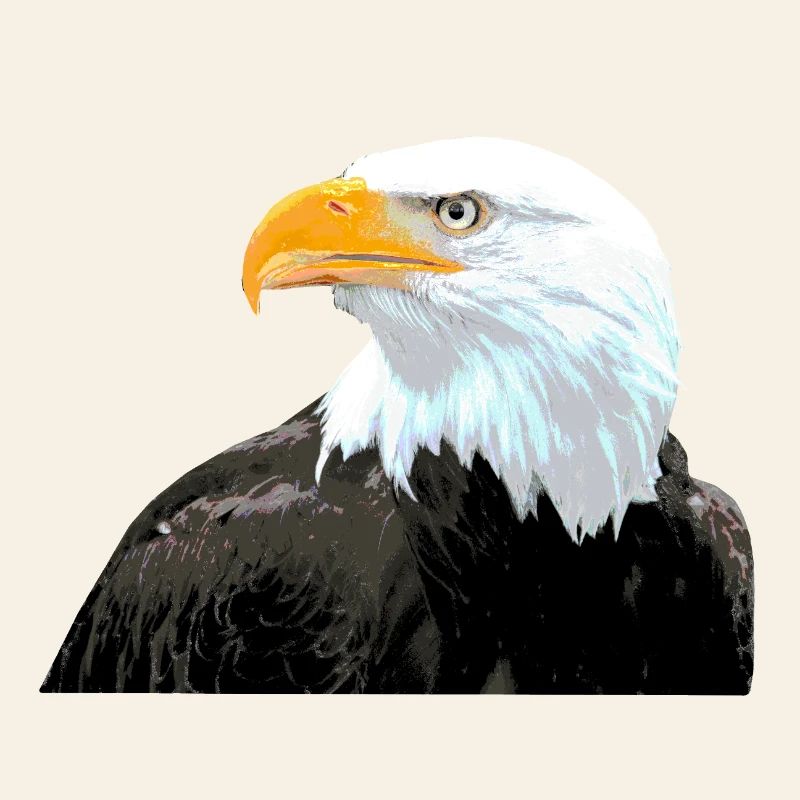 Bald Eagle Bird Statement Cool Animals