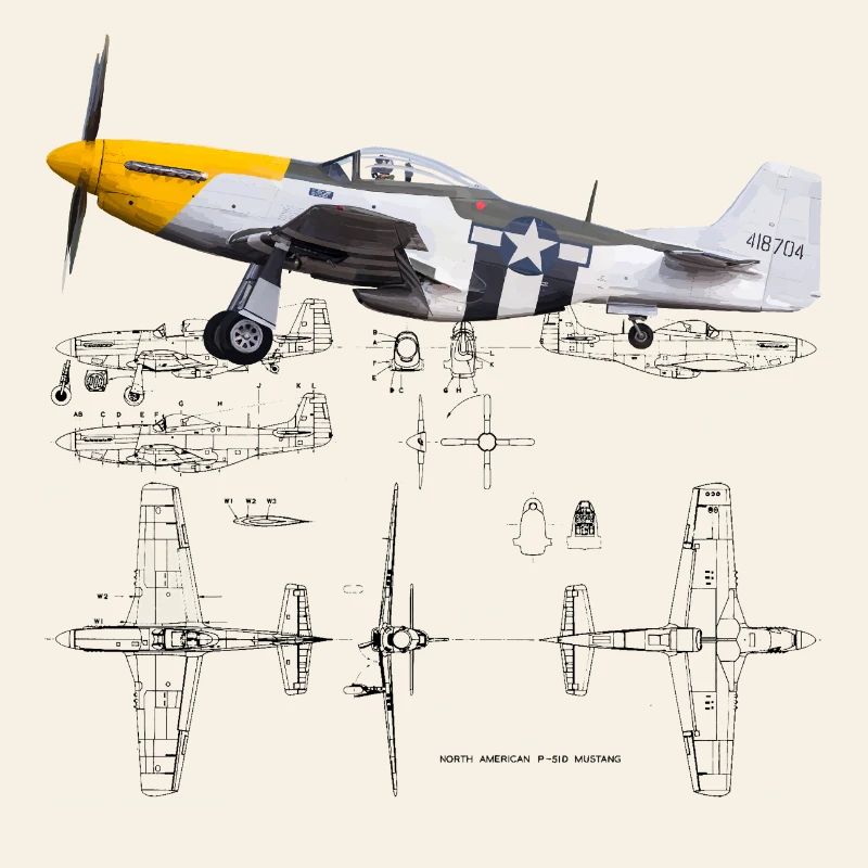 P-51