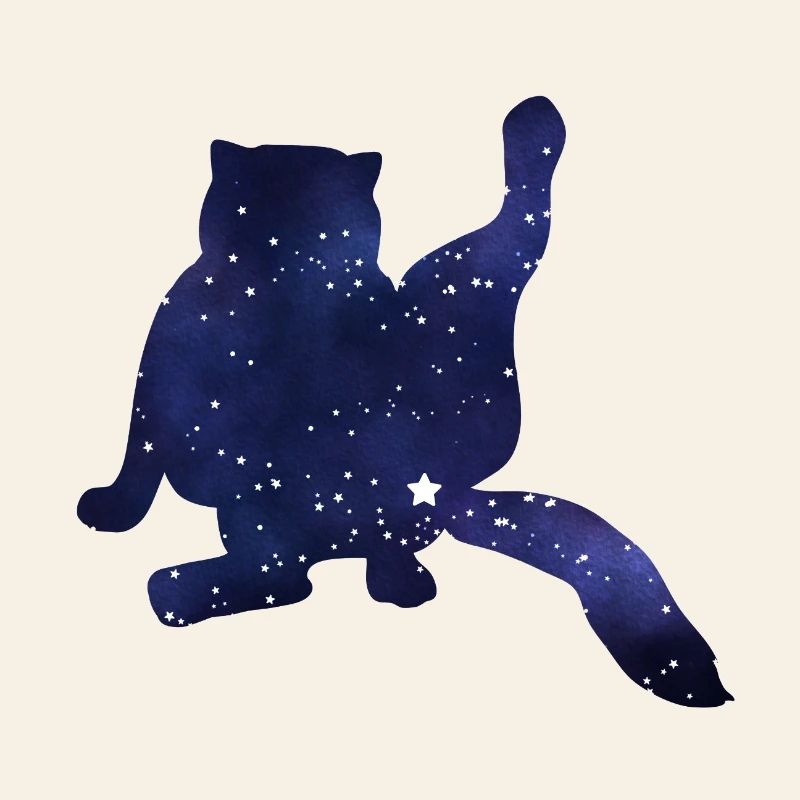 Silhouette de chat drôle ciel étoilé