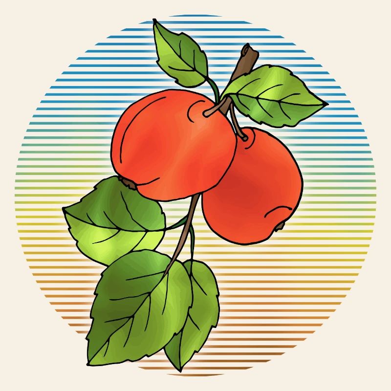 Apples
