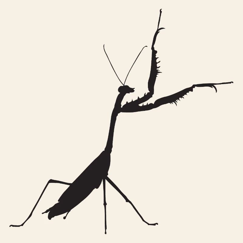 Praying mantis black