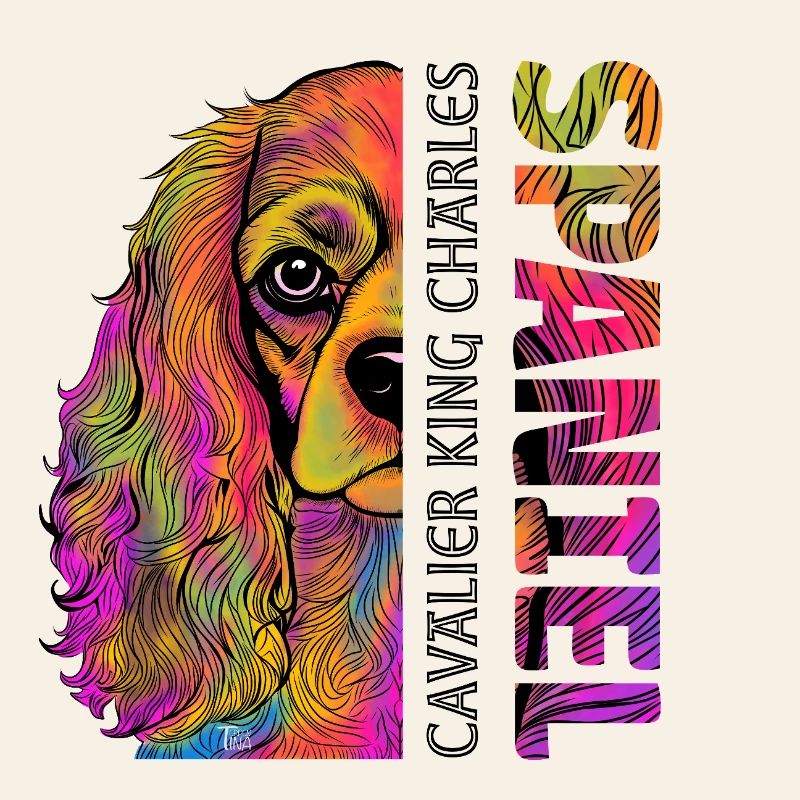 Cavalier King Charles Spaniel