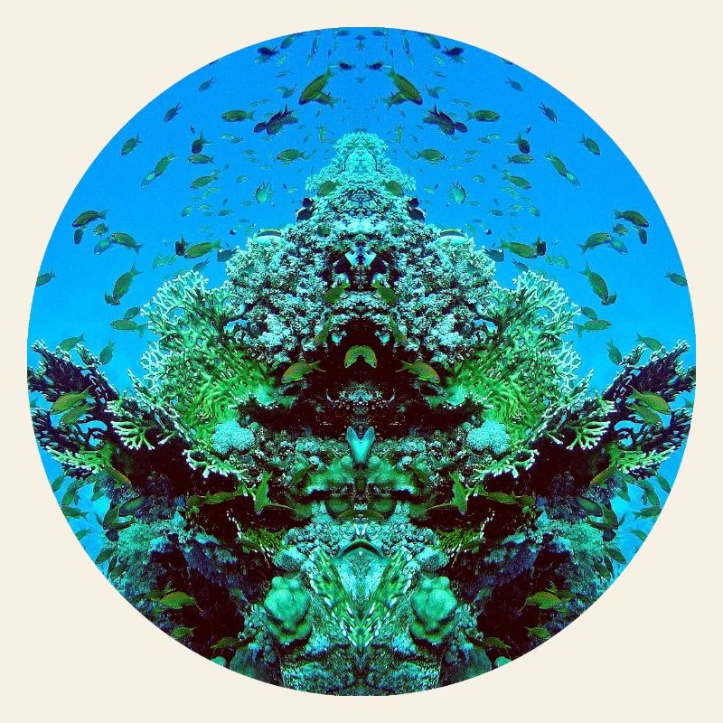 Water creatures in the red