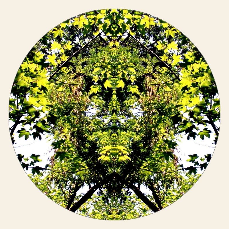 Tree Nature Creature