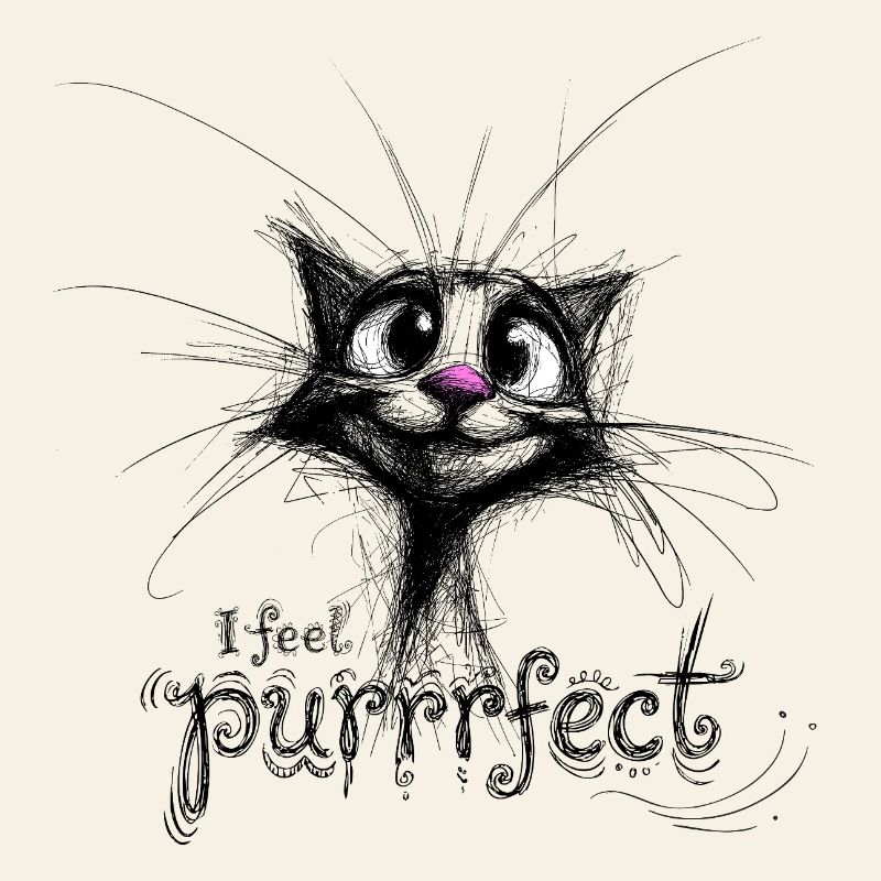 cute cat – I feel purrrfect