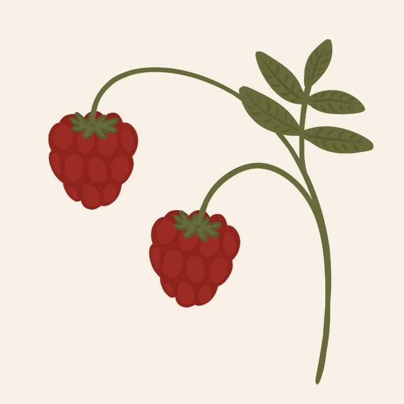Himbeeren