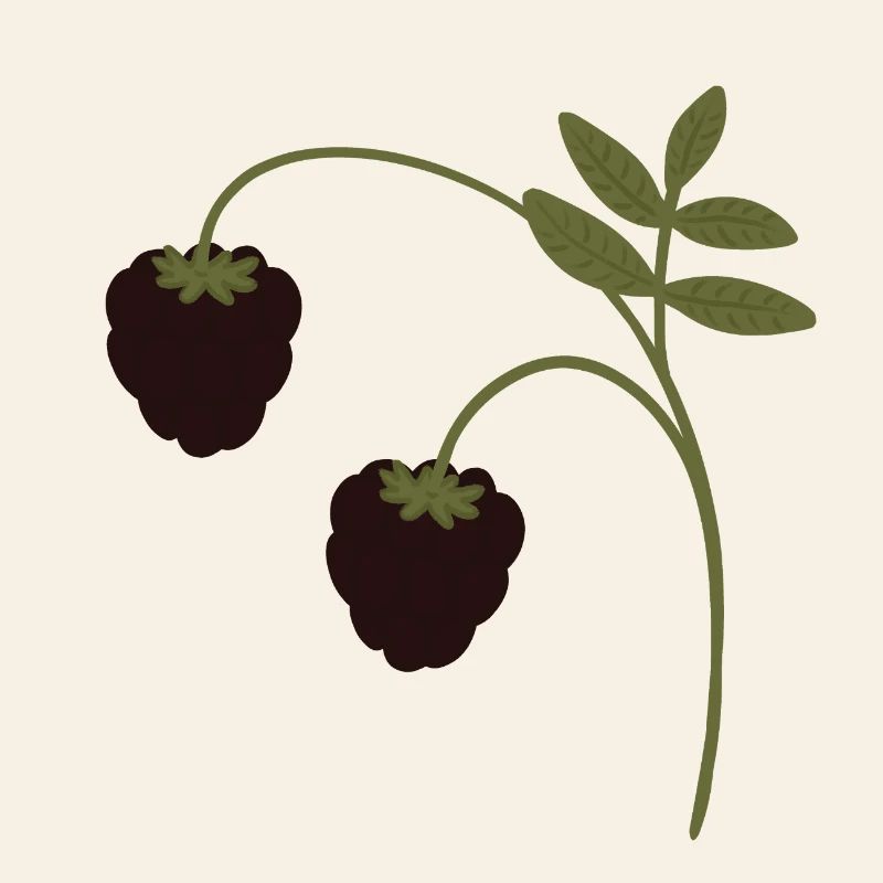 Brombeeren