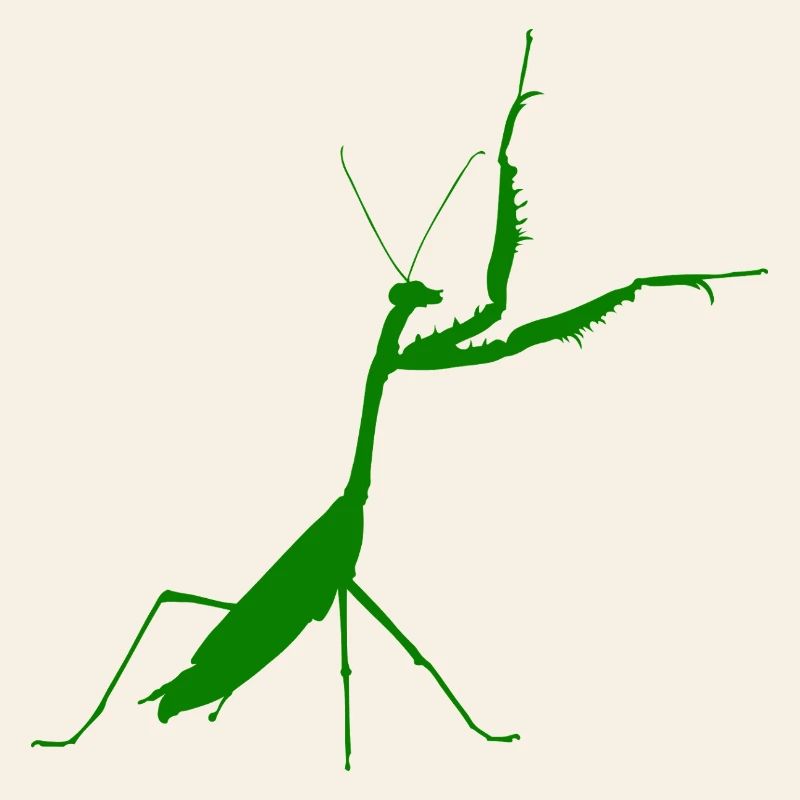 Praying mantis green