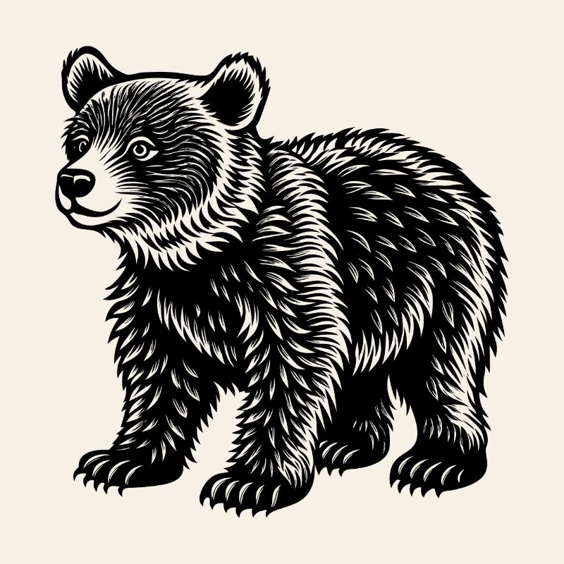 Bear cub
