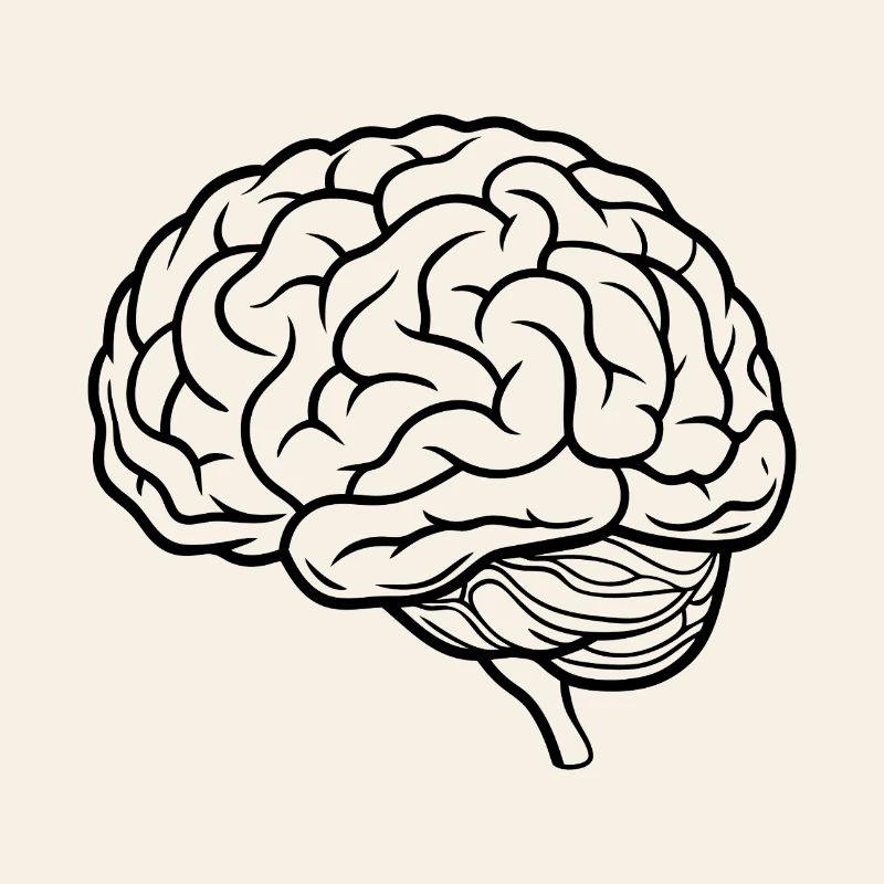 Brain