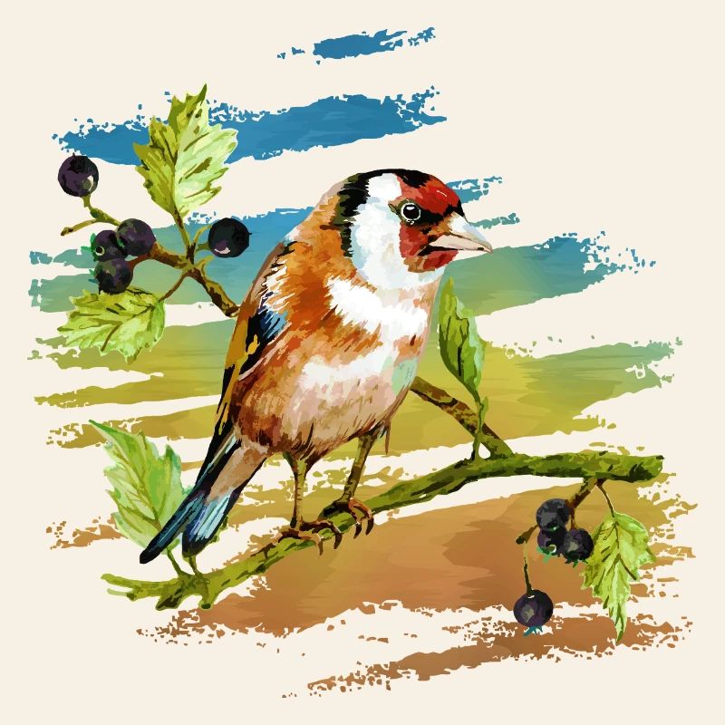 Colorful bird