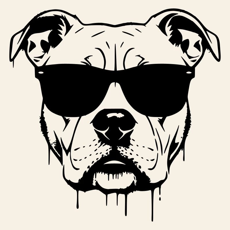 Graffiti des lunettes Pitbull