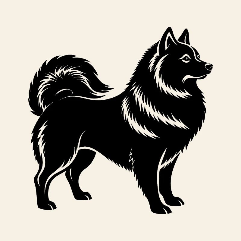 Spitz japonais