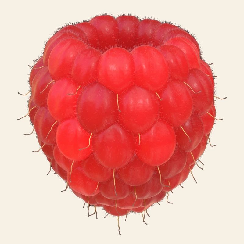 Modèle de grappe de framboises