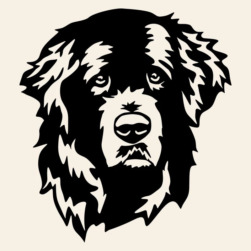 Newfoundland head