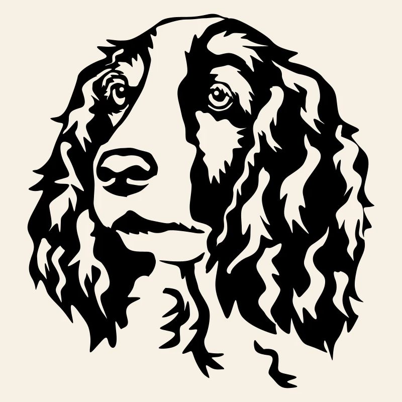 Welsh Springer Spaniel Kopf