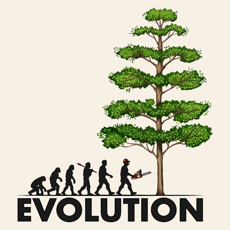 Tronçonneuse Evolution Grey Big Tree