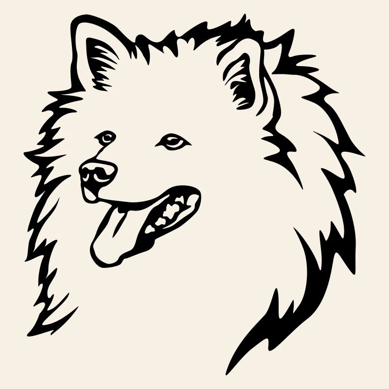 Spitz Kopf
