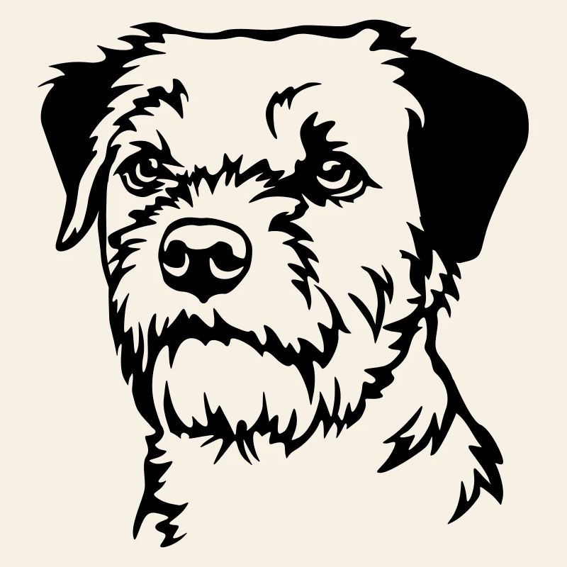 Border Terrier Head